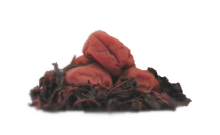 umebosi1